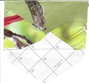 bird envelope back0001