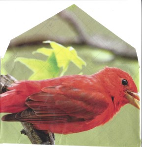 bird envelope