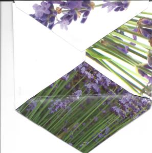 lavender envelope