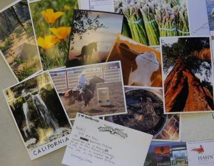 postcards sandi mccafferty