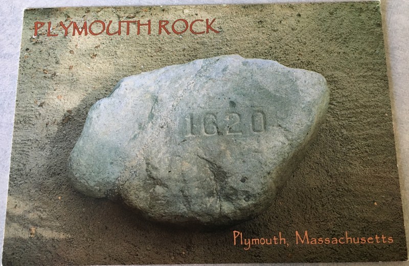 plymouth rock